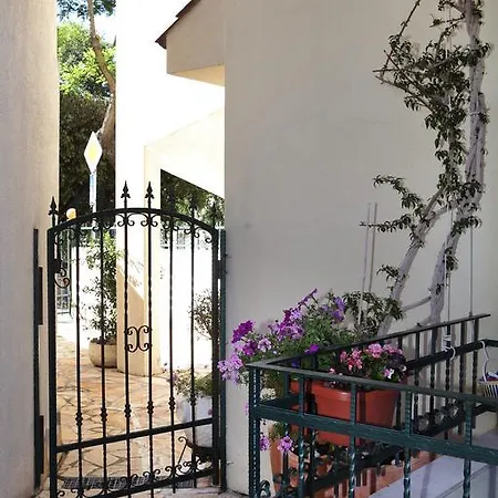 Apartments Coce