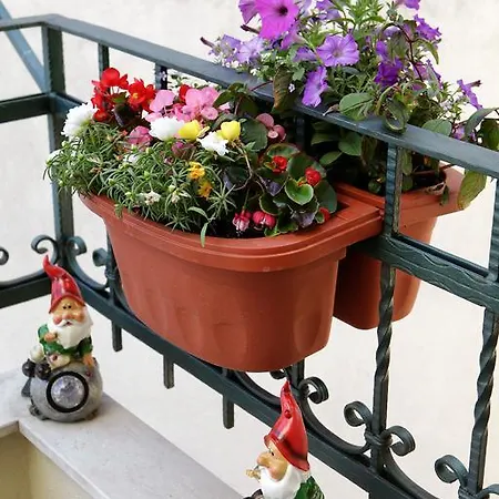 Apartment Apartments Coce Split
