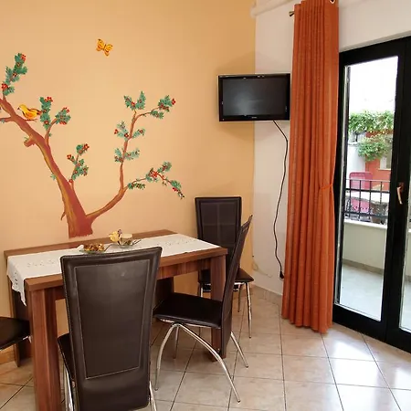 Apartments Coce *