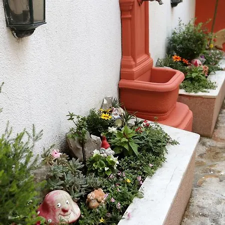 Apartments Coce Appartement *