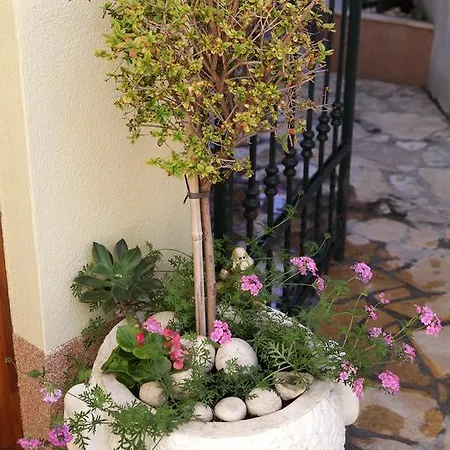 Apartamento Coce